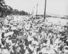 Banho a fantasia nos anos 1940. Foliôes na rua Visconde do Rio Branco. Antiga Rua da Praia, Centro de Niterói. Arquivo FAN.