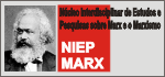 NIEP-MARX